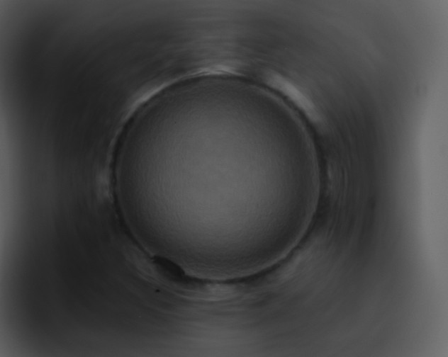 X0000095681308200801081221