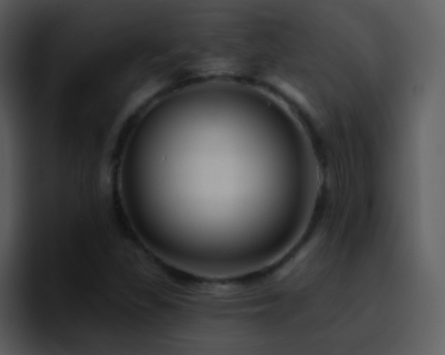 X0000095681309200801081221
