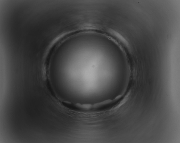 X0000095681310200801081221