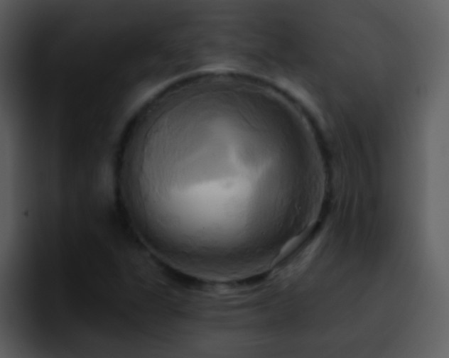X0000095681311200801081221