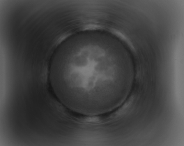 X0000095681313200801081221