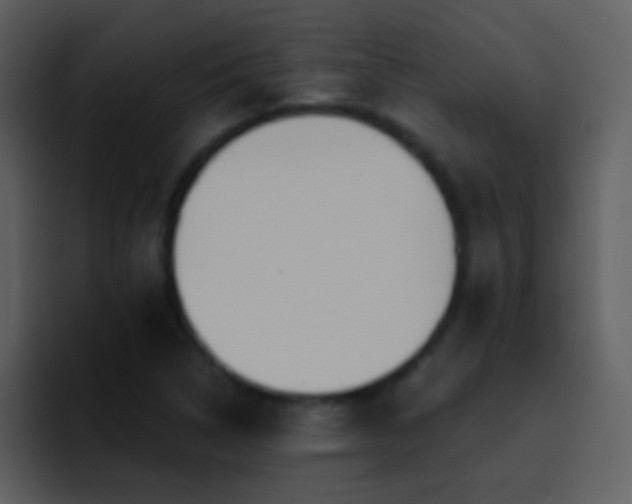 X0000095681314200801081221