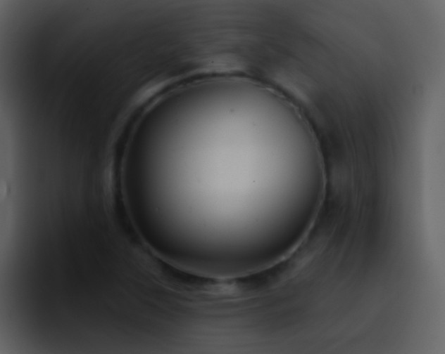 X0000095681315200801081221