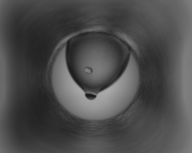 X0000095681316200801081221