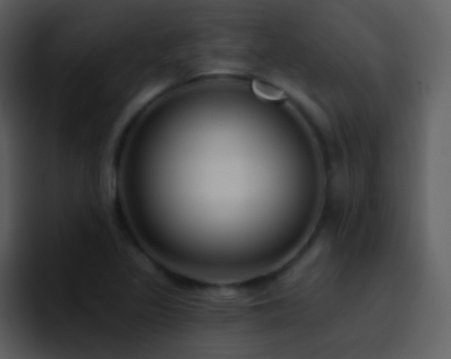 X0000095681317200801081221