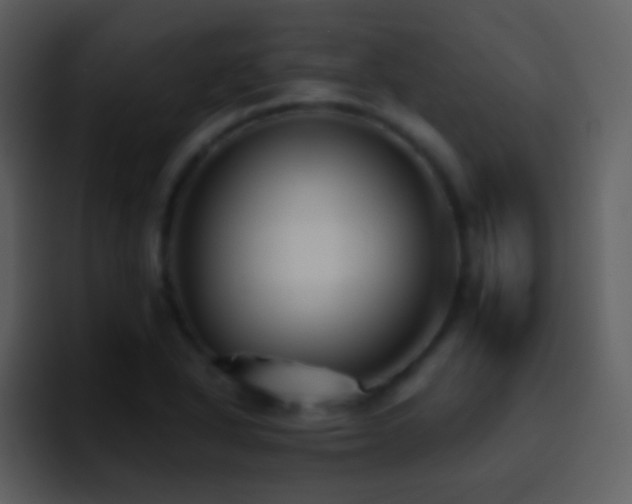 X0000095681318200801081221
