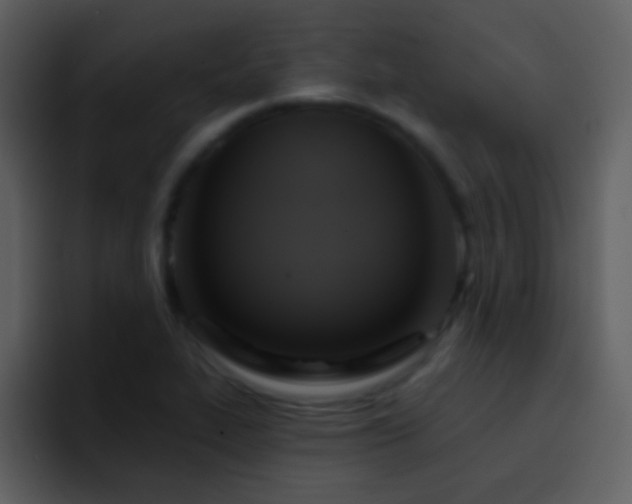 X0000095681319200801081221