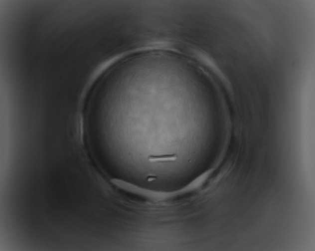 X0000095681320200801081221