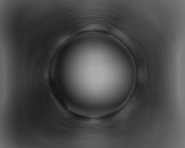X0000095681321200801081221