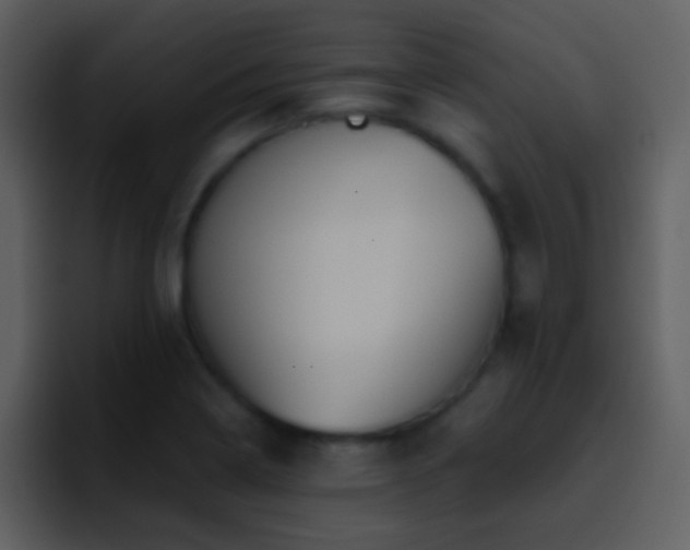 X0000095681322200801081221