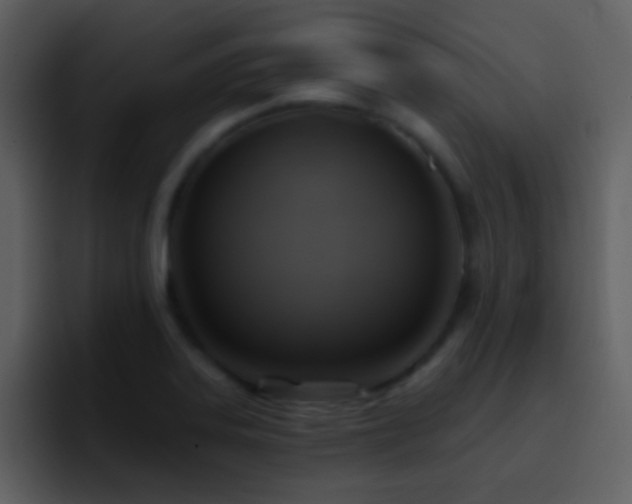 X0000095681323200801081221