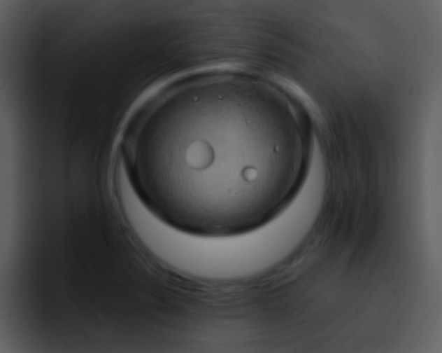 X0000095681324200801081221