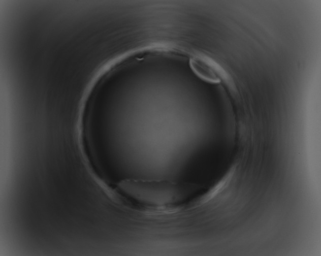X0000095681327200801081221