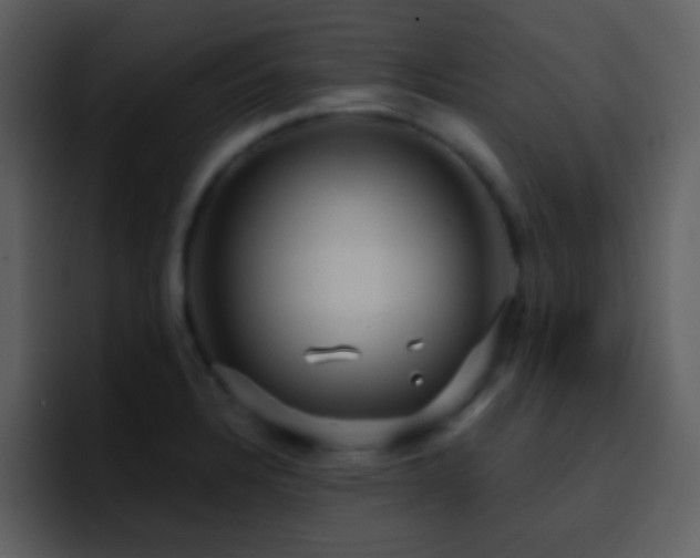 X0000095681328200801081221