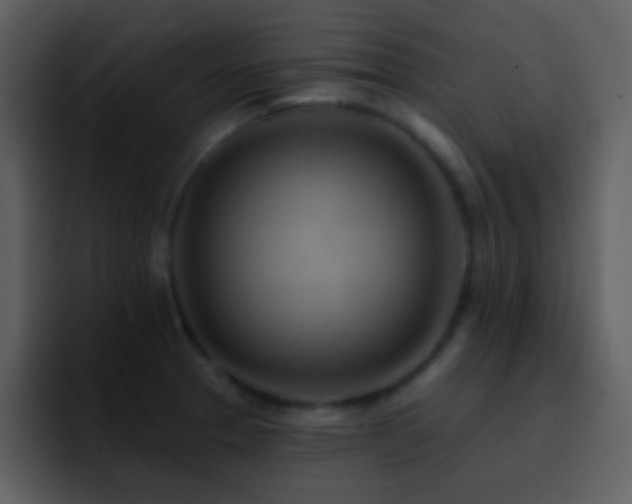 X0000095681329200801081221