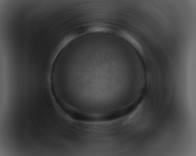X0000095681330200801081221