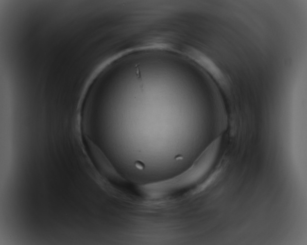 X0000095681332200801081221