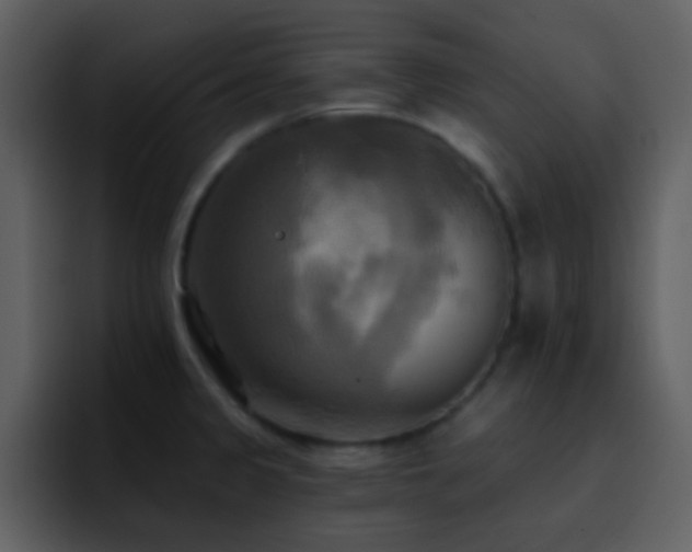 X0000095681333200801081221