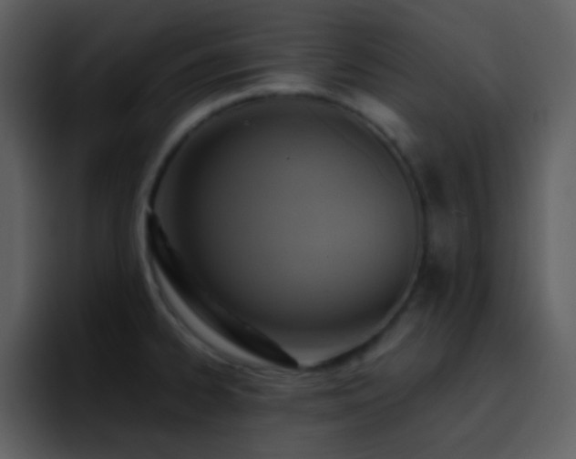 X0000095681334200801081221