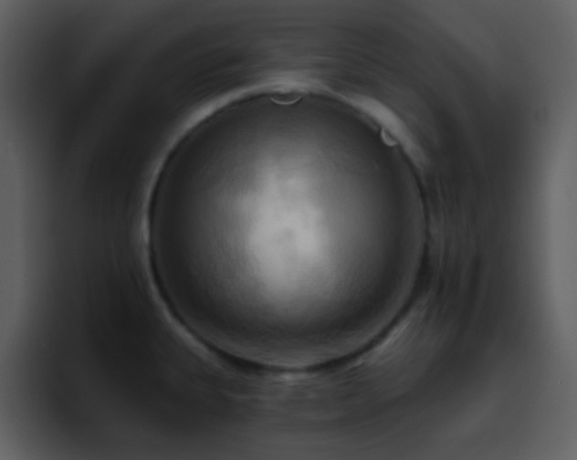 X0000095681335200801081221