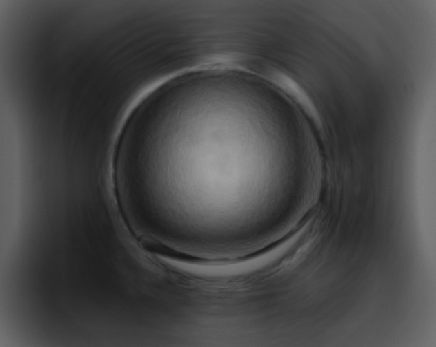 X0000095681336200801081221