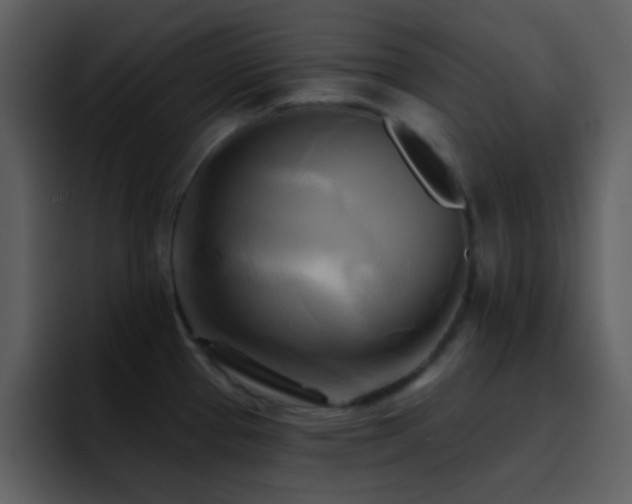 X0000095681337200801081221