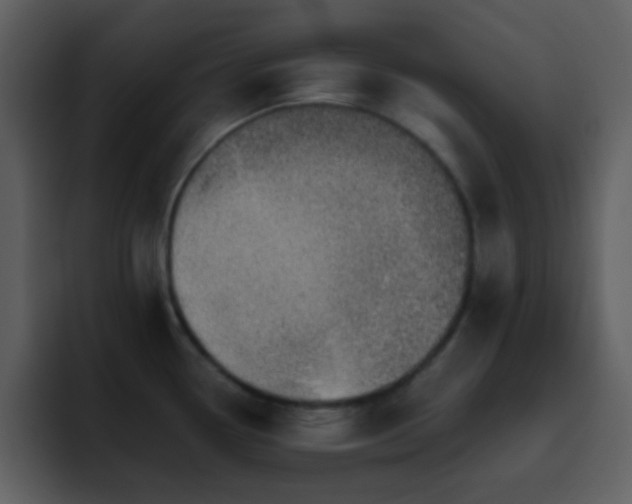 X0000095681338200801081221