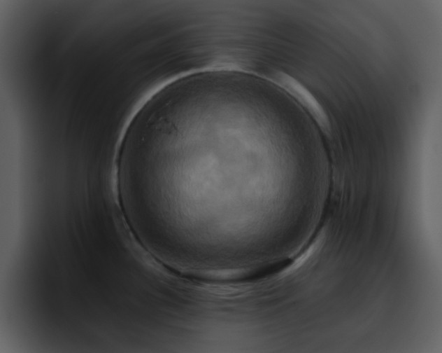 X0000095681340200801081221