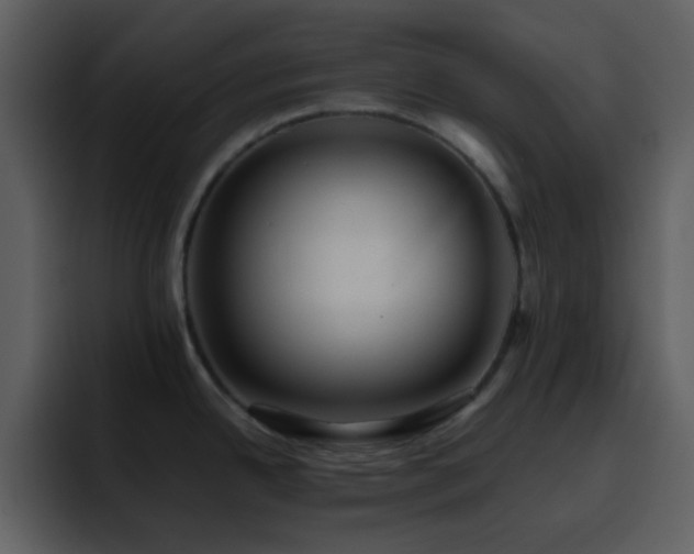 X0000095681342200801081221