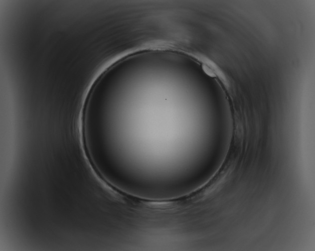 X0000095681343200801081221