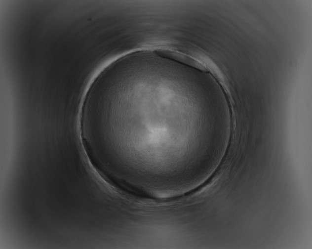 X0000095681344200801081221