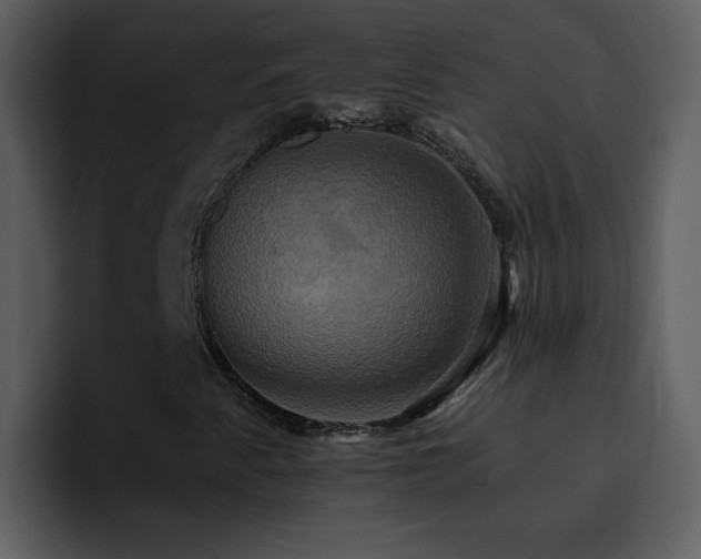 X0000095681345200801081221