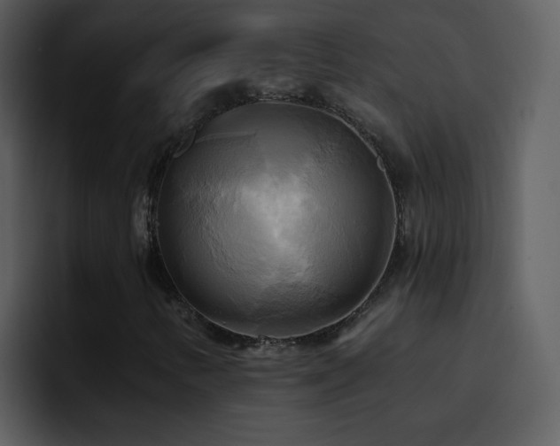 X0000095681346200801081221