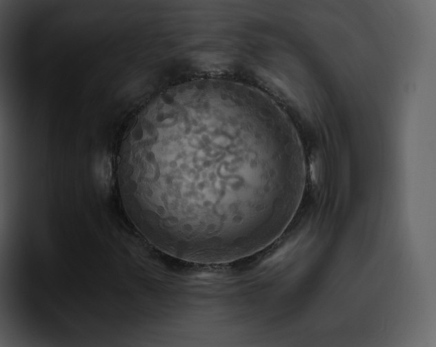 X0000095681347200801081221