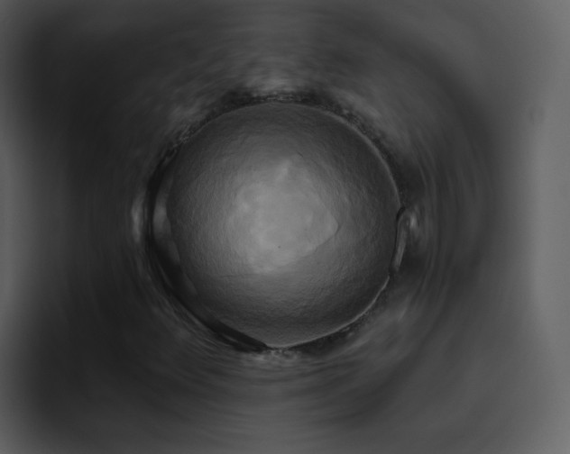 X0000095681348200801081220