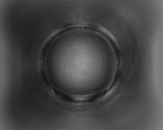X0000095681352200801081220