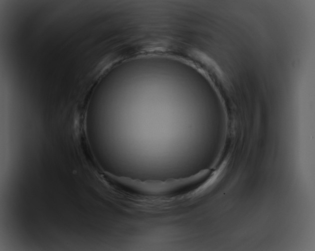 X0000095681353200801081220