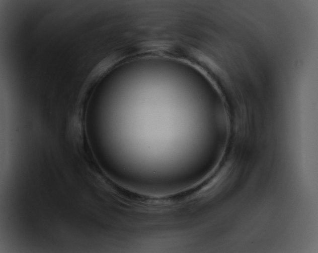 X0000095681354200801081220
