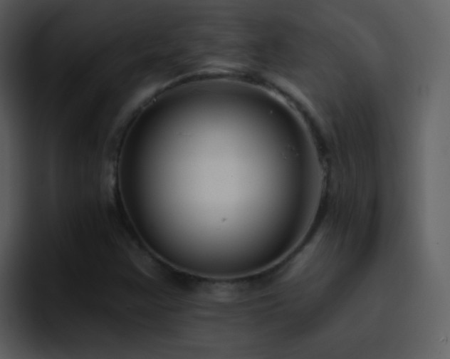 X0000095681355200801081220