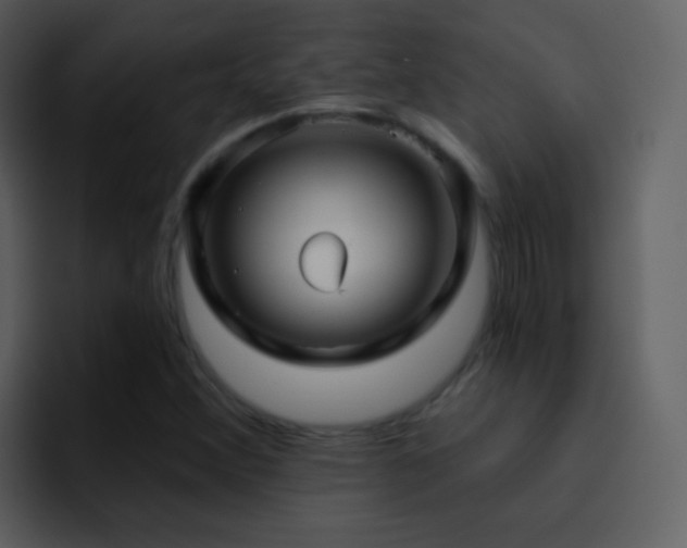 X0000095681356200801081220
