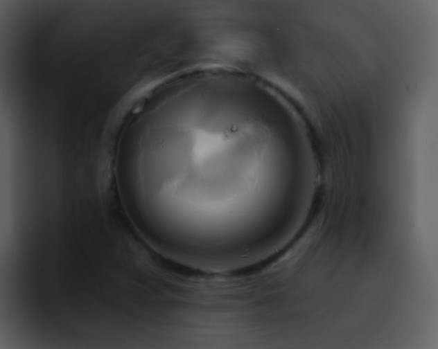 X0000095681359200801081220