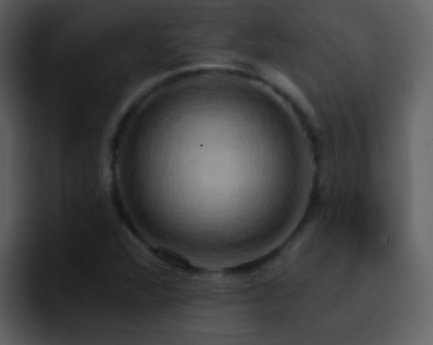 X0000095681360200801081220