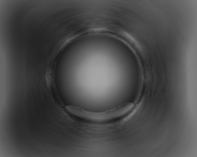 X0000095681361200801081220