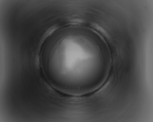 X0000095681362200801081220
