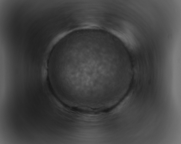 X0000095681363200801081220
