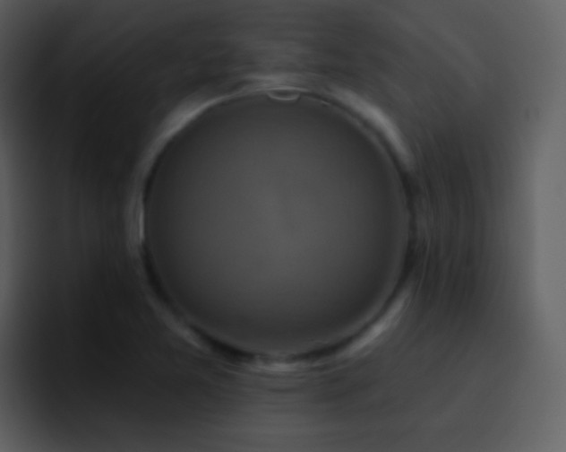 X0000095681365200801081220