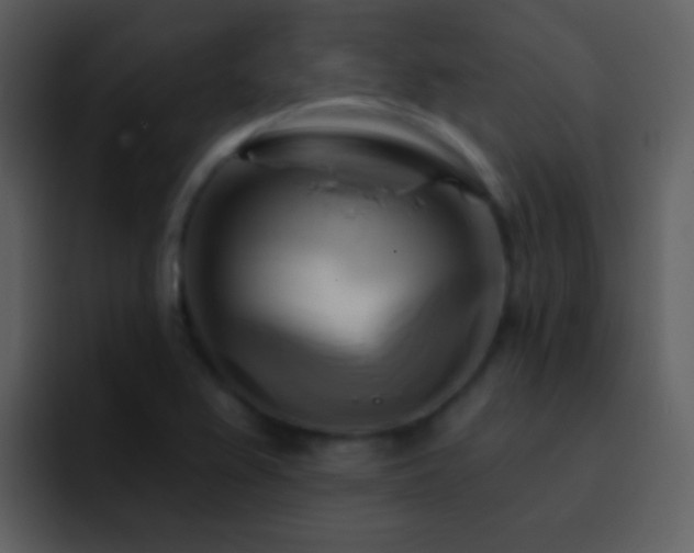 X0000095681367200801081220