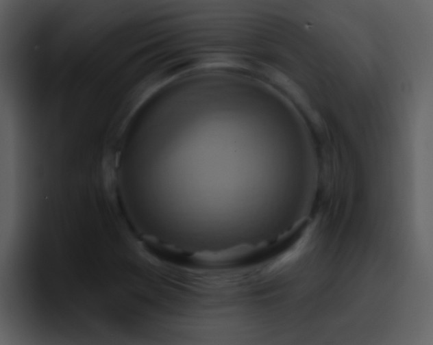 X0000095681369200801081220