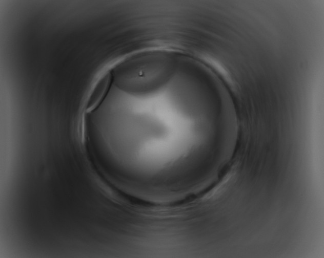 X0000095681371200801081220