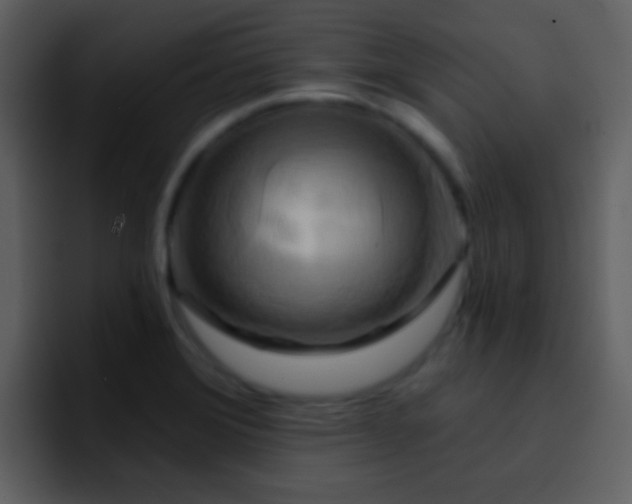 X0000095681372200801081220